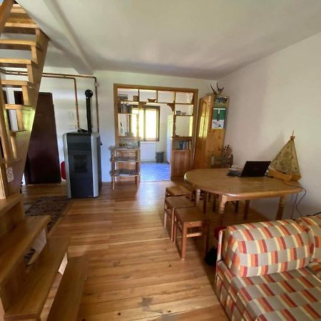 Mystic Forest Hostel Митровац Экстерьер фото
