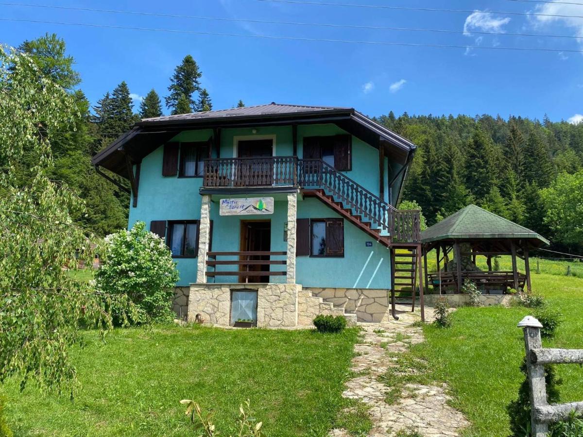 Mystic Forest Hostel Митровац Экстерьер фото