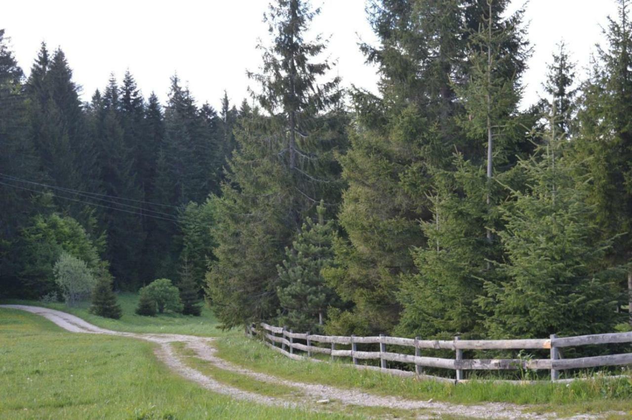 Mystic Forest Hostel Митровац Экстерьер фото