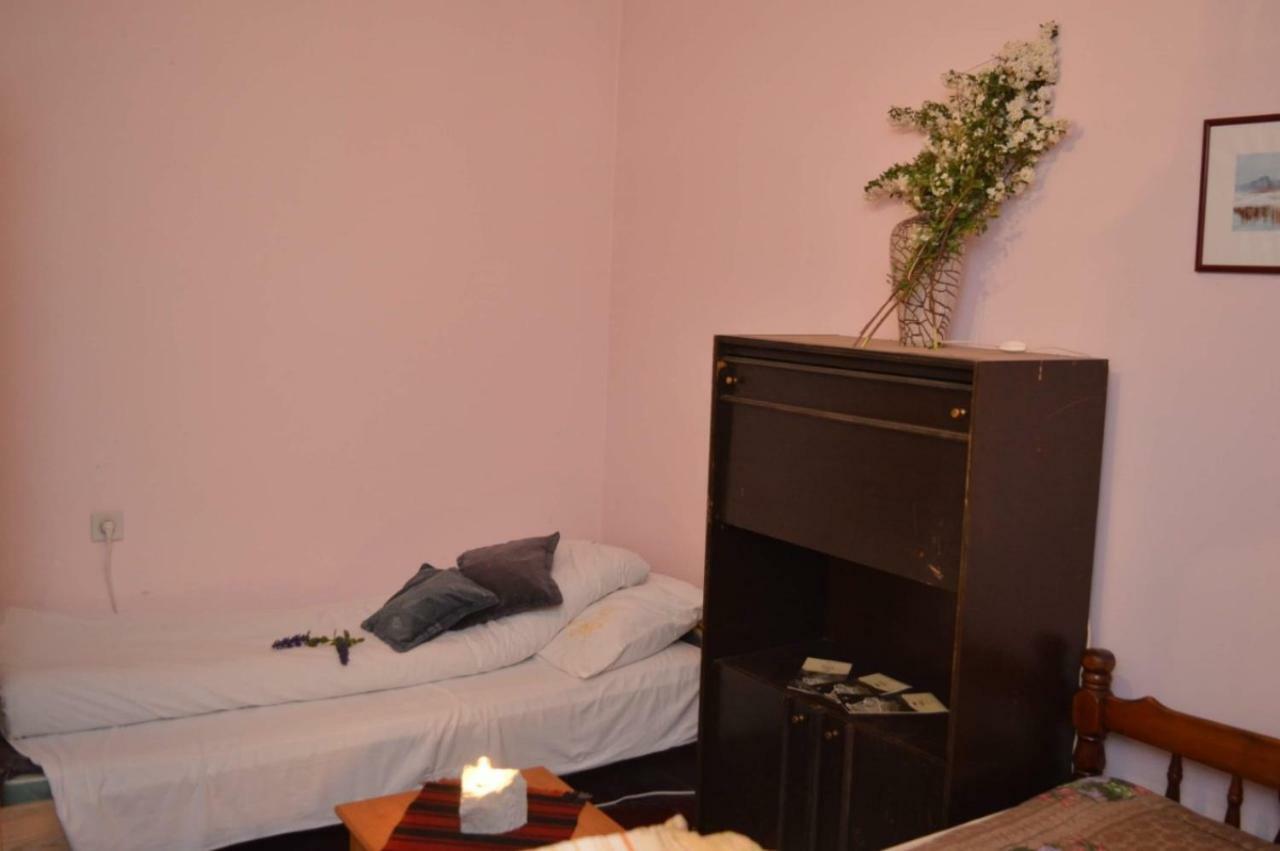 Mystic Forest Hostel Митровац Экстерьер фото