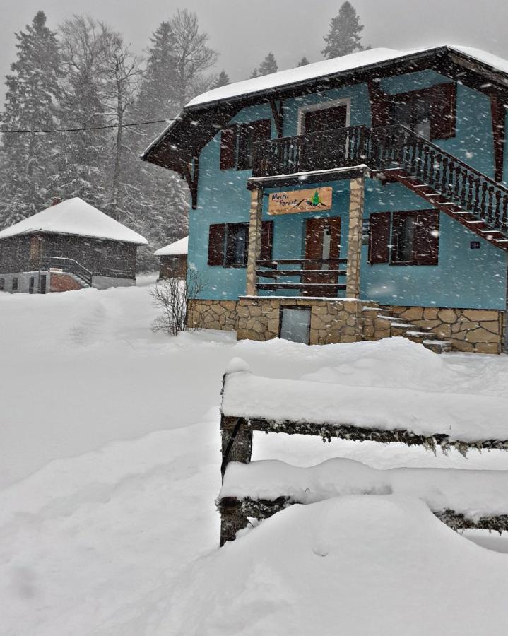 Mystic Forest Hostel Митровац Экстерьер фото